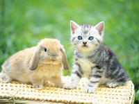 �C���[�W02